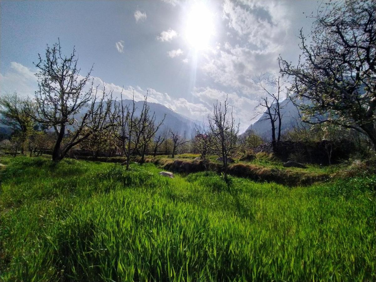 Farm Hostel And Camps Manali  Exterior photo