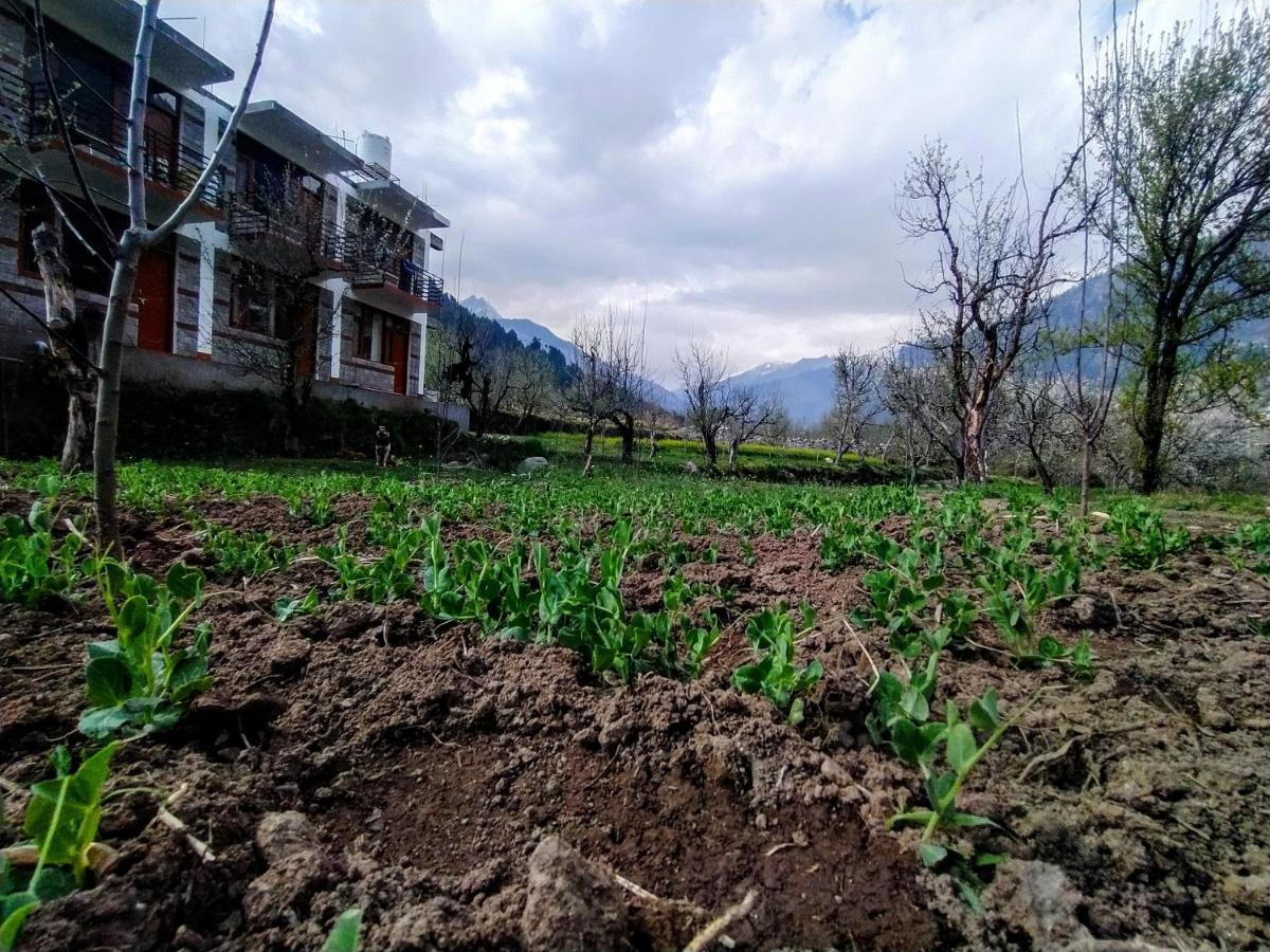 Farm Hostel And Camps Manali  Exterior photo