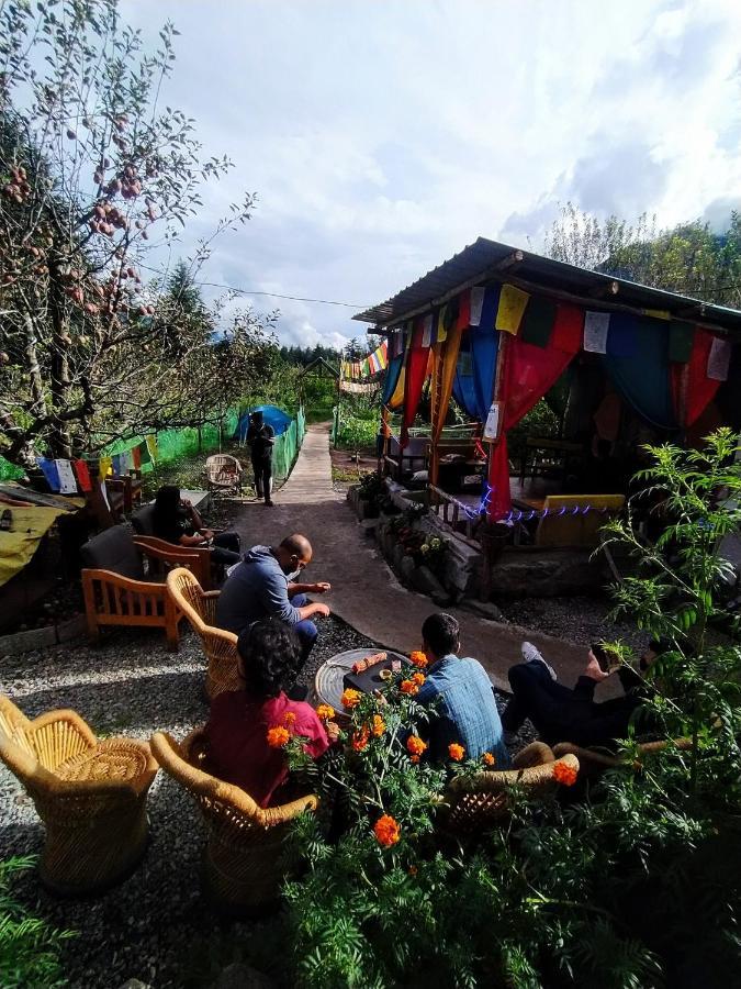 Farm Hostel And Camps Manali  Exterior photo